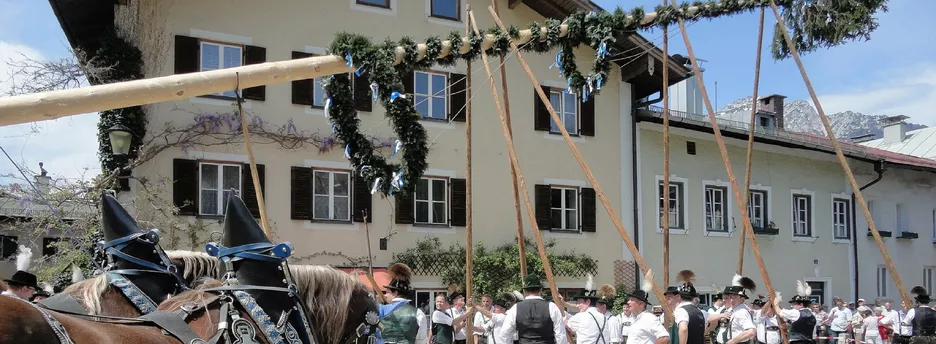 Positioning of the maypole in Bad Reichenhall, a town approx. 130 km south-east of Munich (Image: pixabay) 