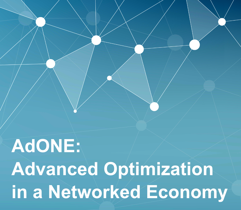 AdONE - Advanced Optimization in a Networked Economy
